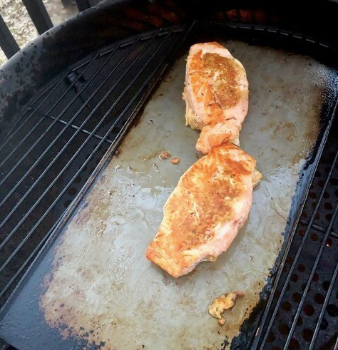 Griddle and Defrost Plate