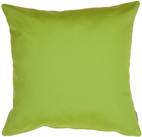 Outdoor Sunbrella Throw Pillows 20 x 20